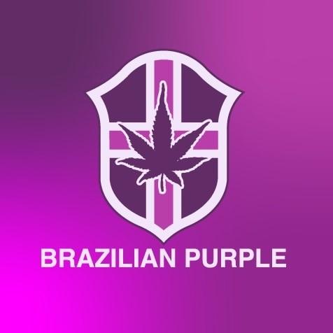 Brazilian Purple