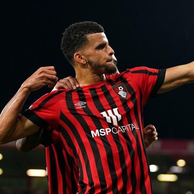 D. Solanke