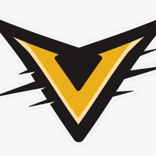 Vynx Team CRW