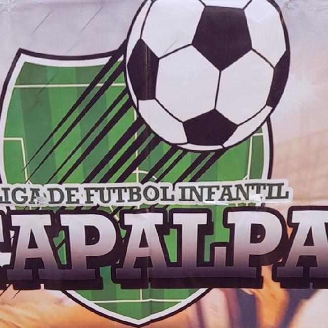 LIGA DE FUTBOL JUVENIL DE TAPALPA