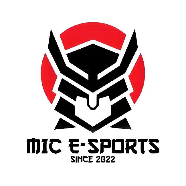 MADE in CHINA E-SPORTS