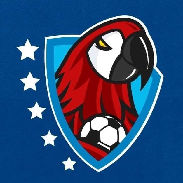 LIGA 5 ESTRELLAS