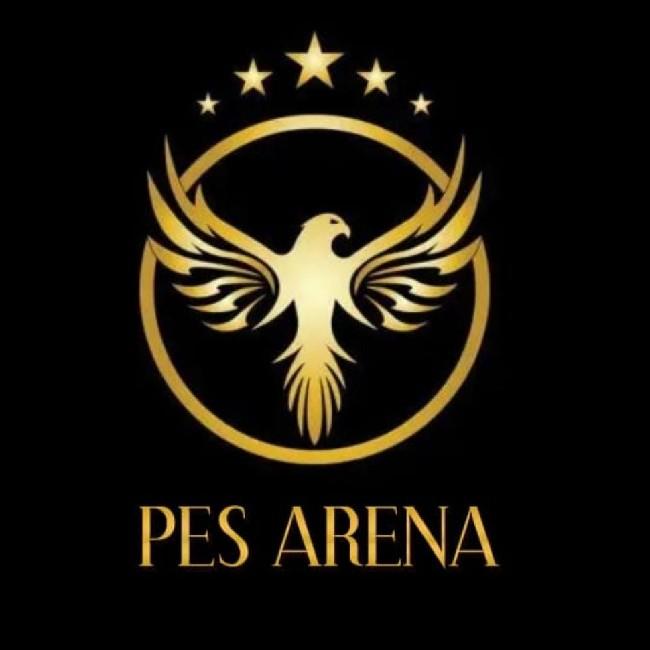 PES ARENA
