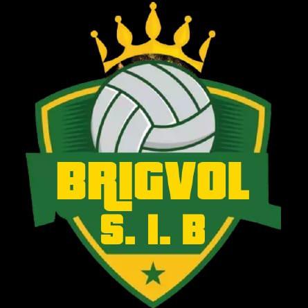 BRIGVOL Fc