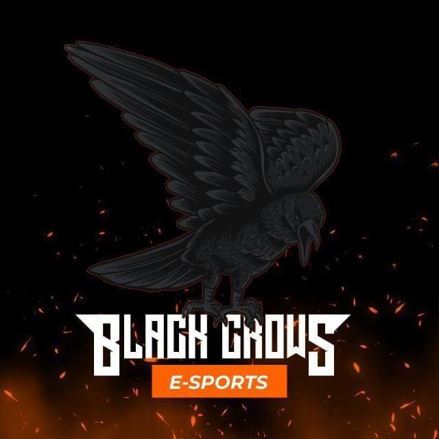 Black crows