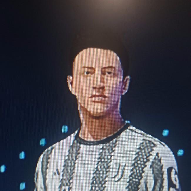 Pecho palomo cavreira