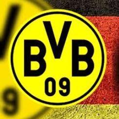 🐝 BRL Wins (BRL)