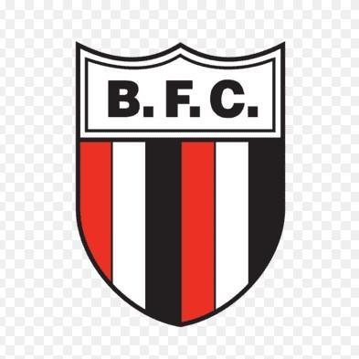 Botafogo - SP