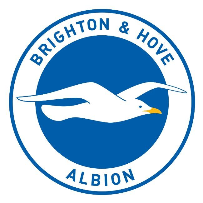 Brighton & Hove Albion Football Club