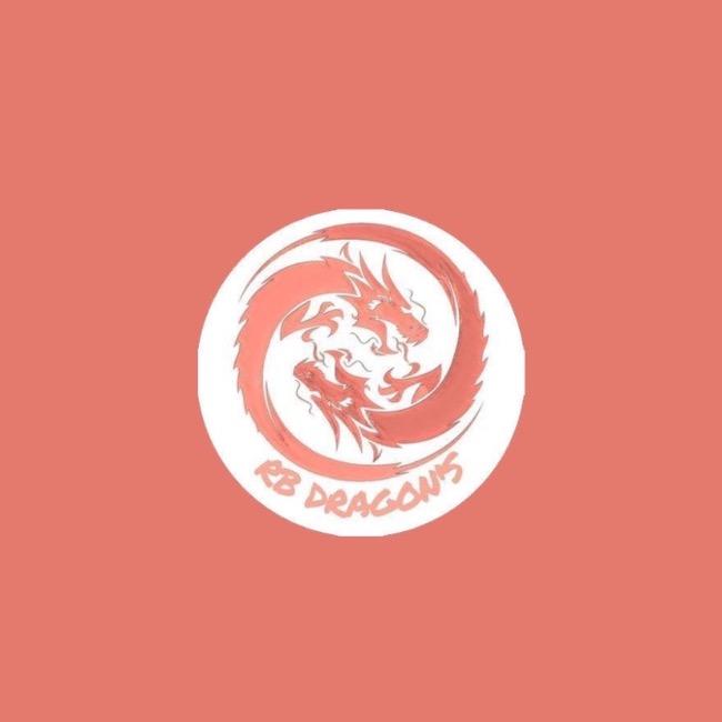 RB Dragons