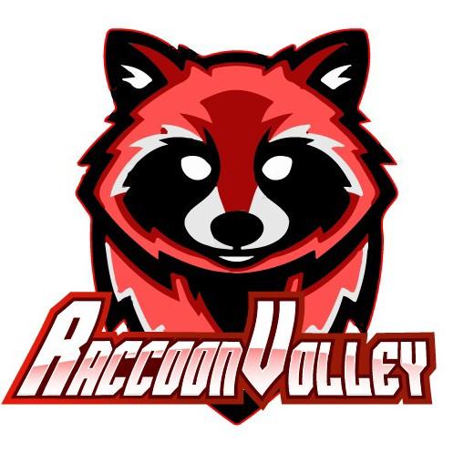 Raccoon Volley