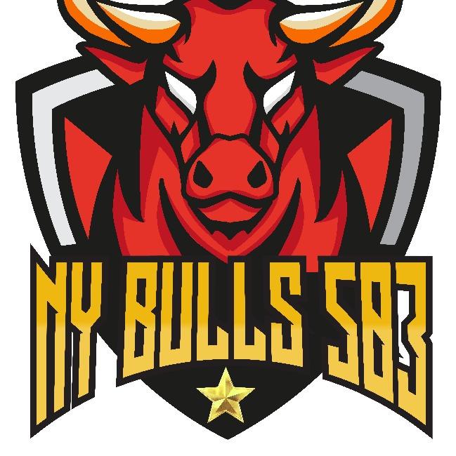 NY Bulls 503