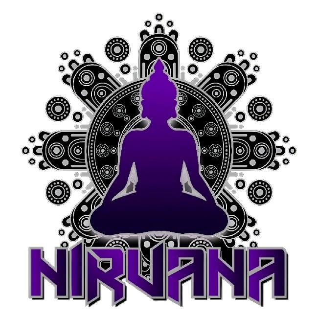 NIRVANA E-SPORT ( IND 🇮🇳 )