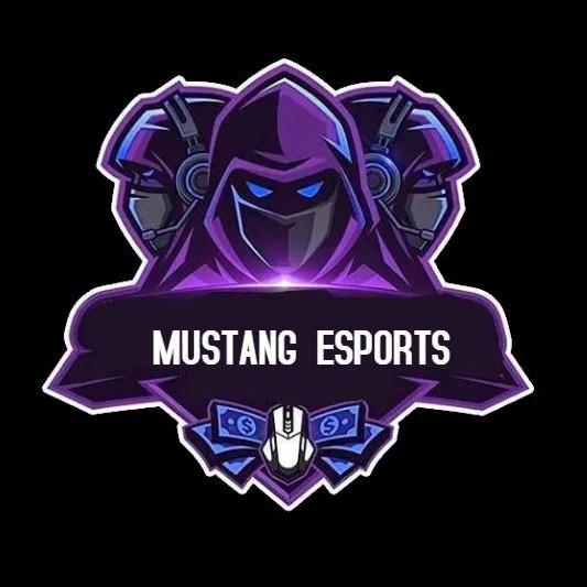 MUSTANG E-SPORT ( IND 🇮🇳 )