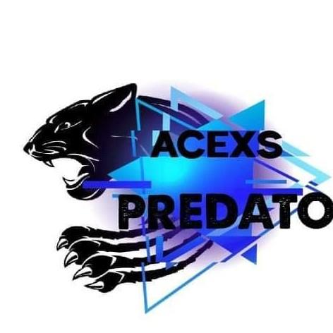 Acexs P
