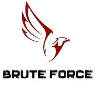 Brute force
