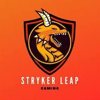 Stryker Leap