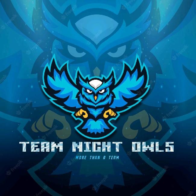 Team Night Owls