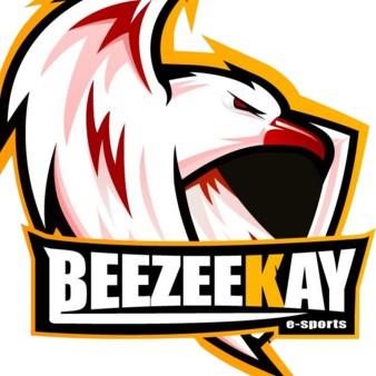 Beezekay Esports