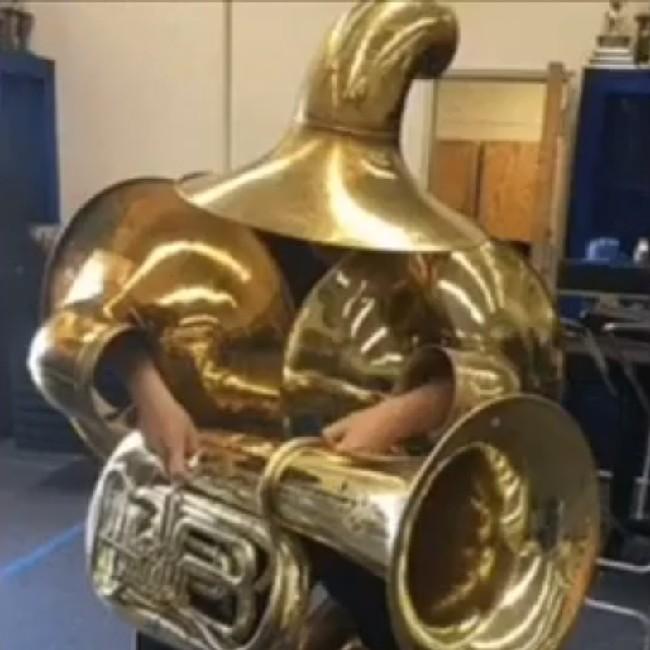Donald Trumpeta (29)