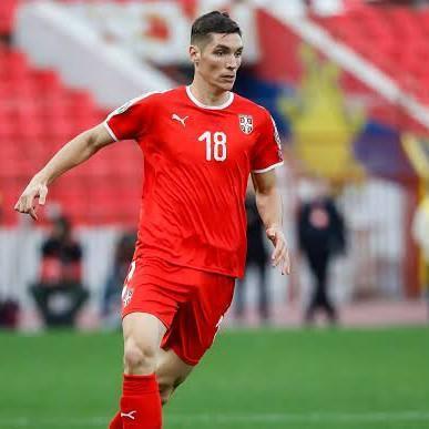 Nikola Milenković