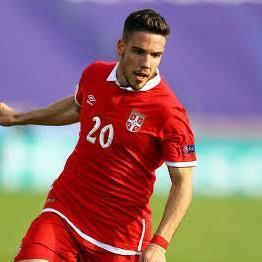 Mihailo Ristić