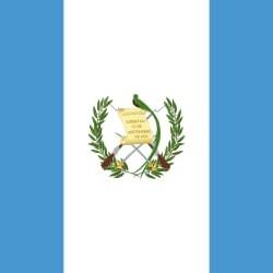 Yadira