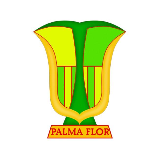 Atlético Palmaflor