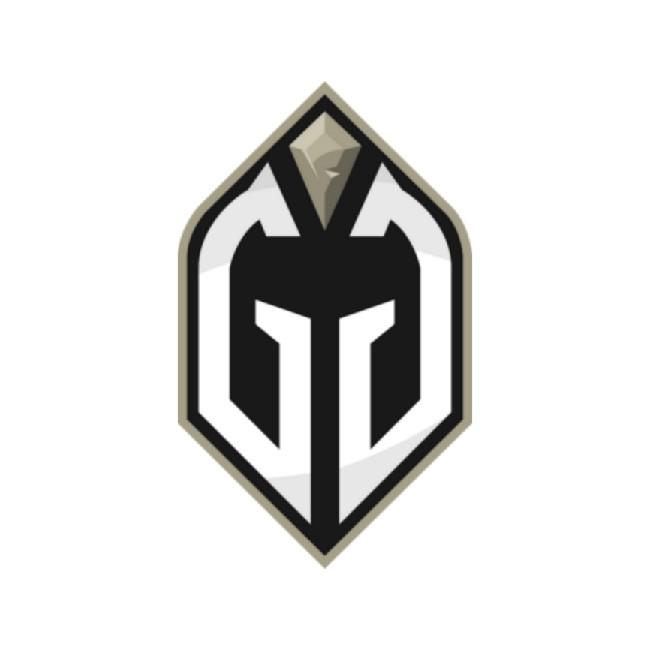 Gamin Gladiators