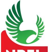 Vikseen NPFL Fantasy League
