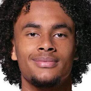 Zirkzee