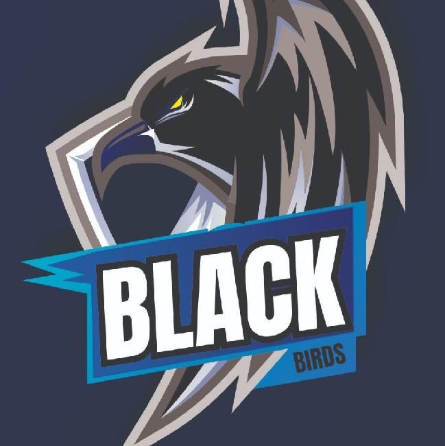BLACK BIRDS/ BDS