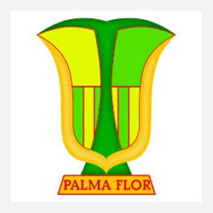 🇧🇴Atl. Palmaflor