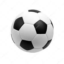 Fuchibol FC