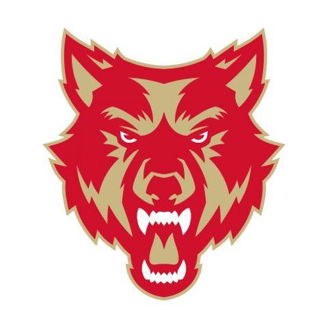 Wolves Haxball Club