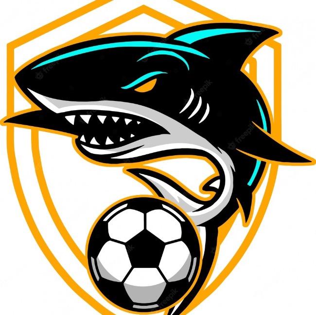 Deportes Cochayuyo