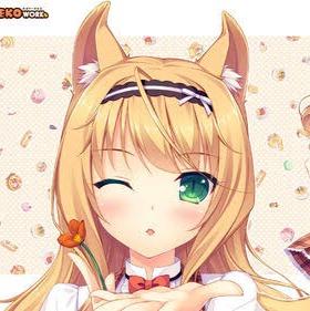 Maple