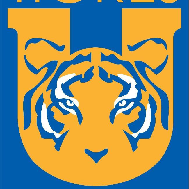 TIGRES (MÉXICO)