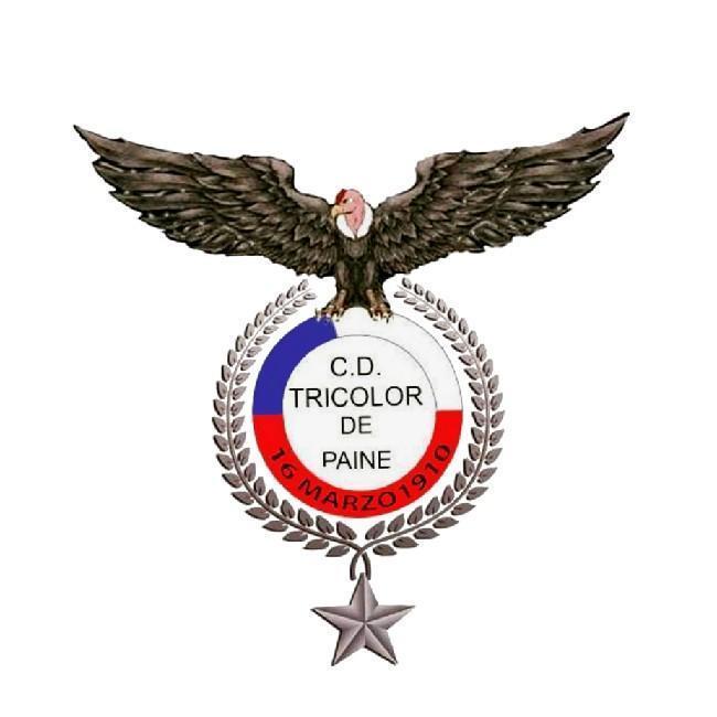 Tricolor de Paine - Rodrigo S.