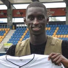 P. Ndiaye