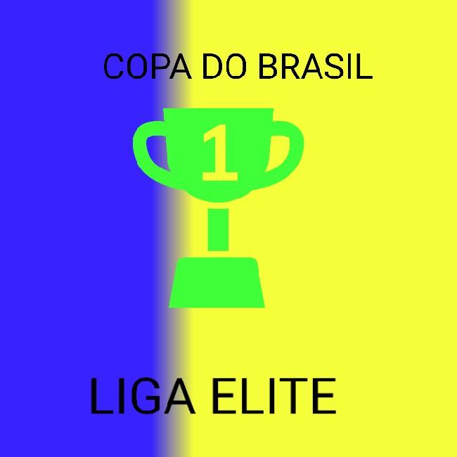 Copa do Brasil 13° temporada