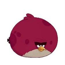 Terence