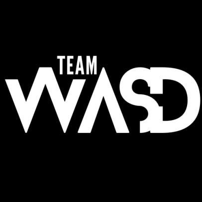 TEAM WASD