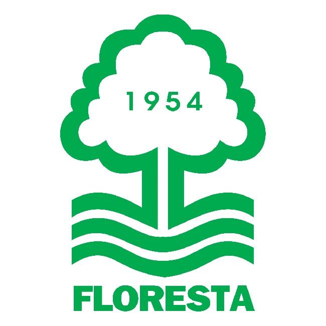 Floresta verde