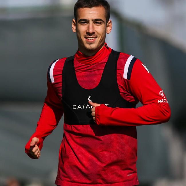 Andrija Radulović