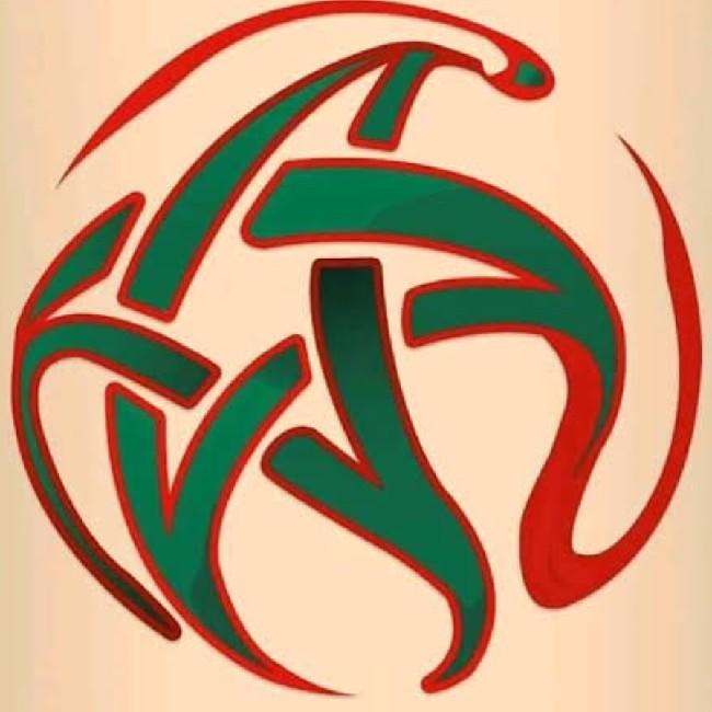 Botola pro 1