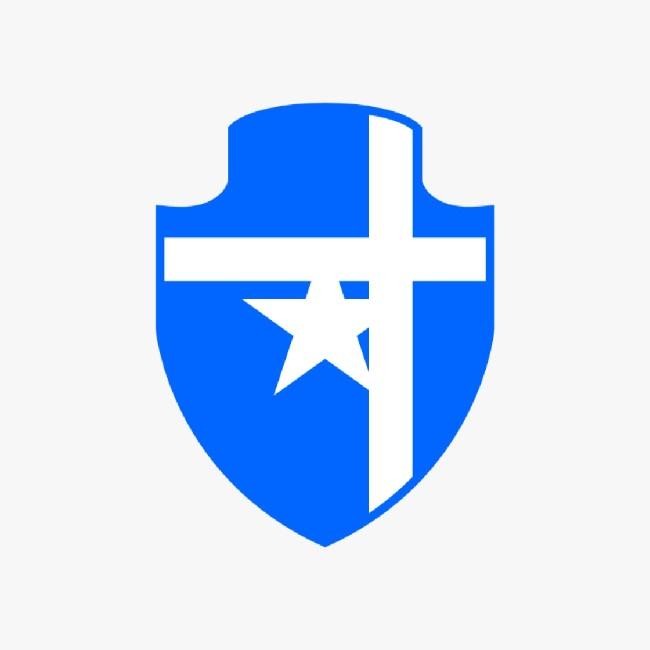 CRUZEIRO VP