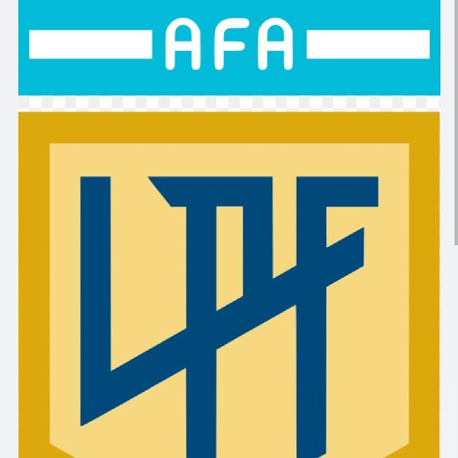 Liga profesional 2024