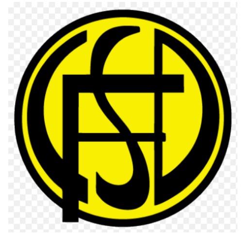 🇦🇷 Flandria