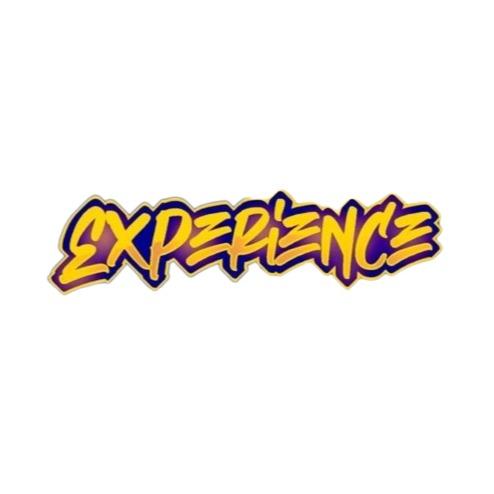 EXPERIENCE